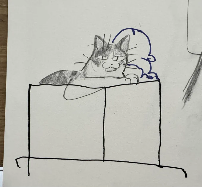 also: peaches has a box &amp; she sits in it like this 