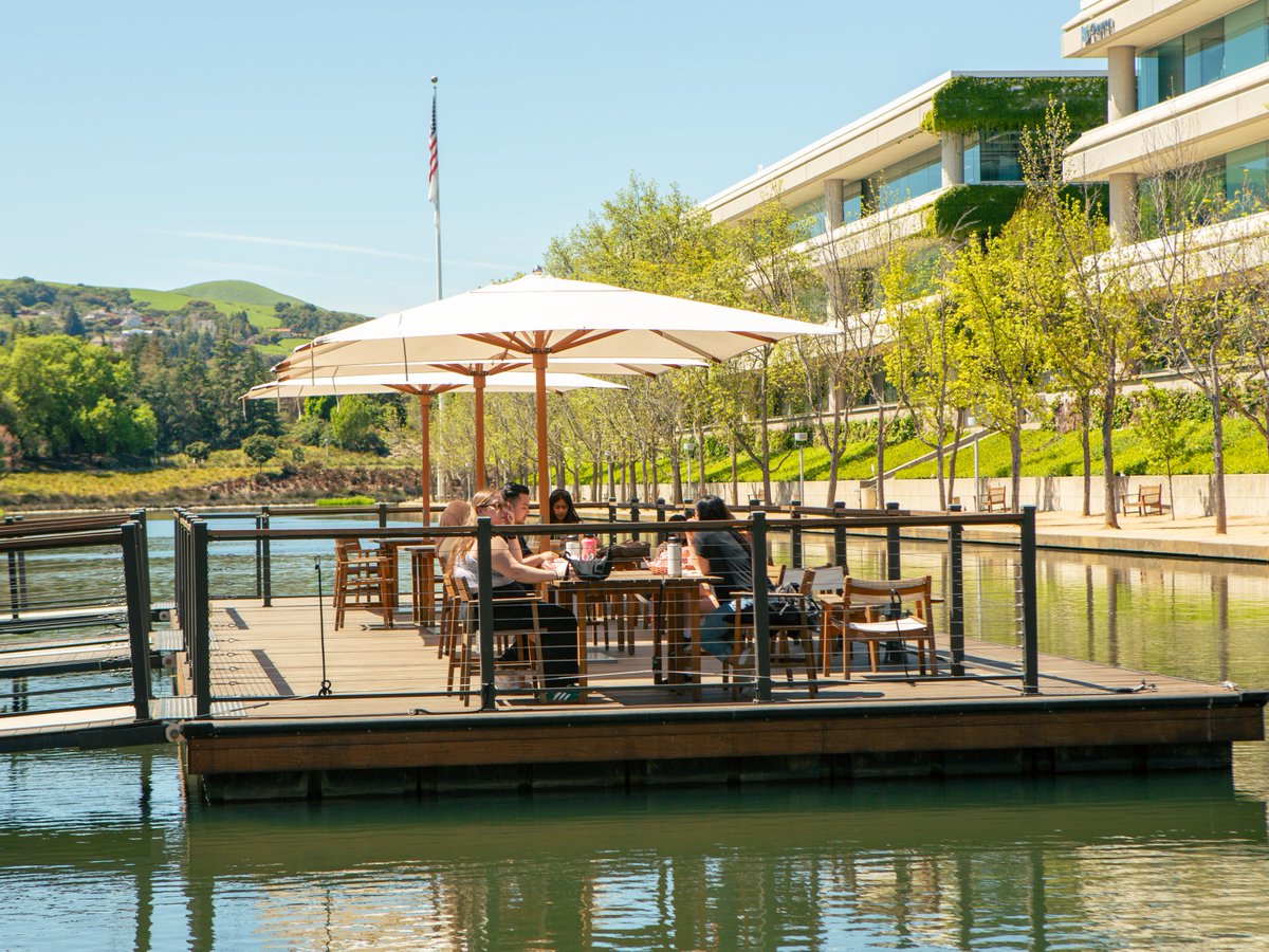 Views? Check. Vibes? Check. A relaxing space to get work done? Check #BRLakeside