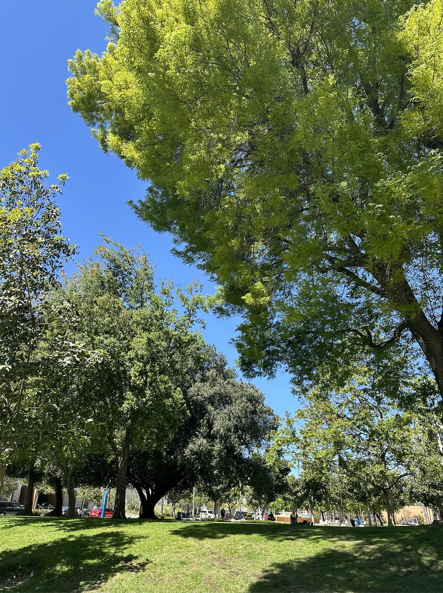 Happy Earth Month, Matadors! Did you know that CSUN has pledged to achieve climate neutrality by 2040? The University has implemented a Climate Action Plan and a Sustainability Plan to ensure sustainability through campus operations and more! #CSUN