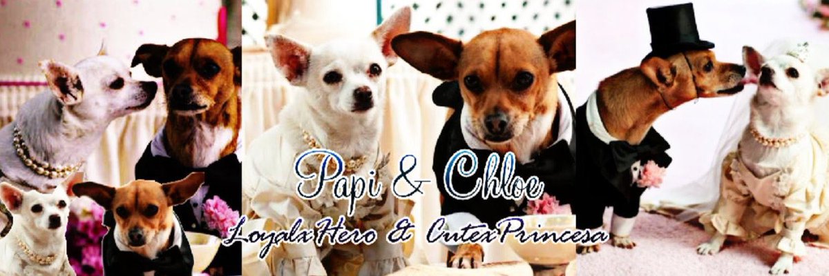 Chloe (@cutexprincesa) on Twitter photo Layout credit goes to: <a href="/LoyalxHero/">Papi</a> 
My Papi 
Filter: Papi
Thank you corazon I love it Layout credit goes to: <a href="/LoyalxHero/">Papi</a> 
My Papi 
Filter: Papi
Thank you corazon I love it