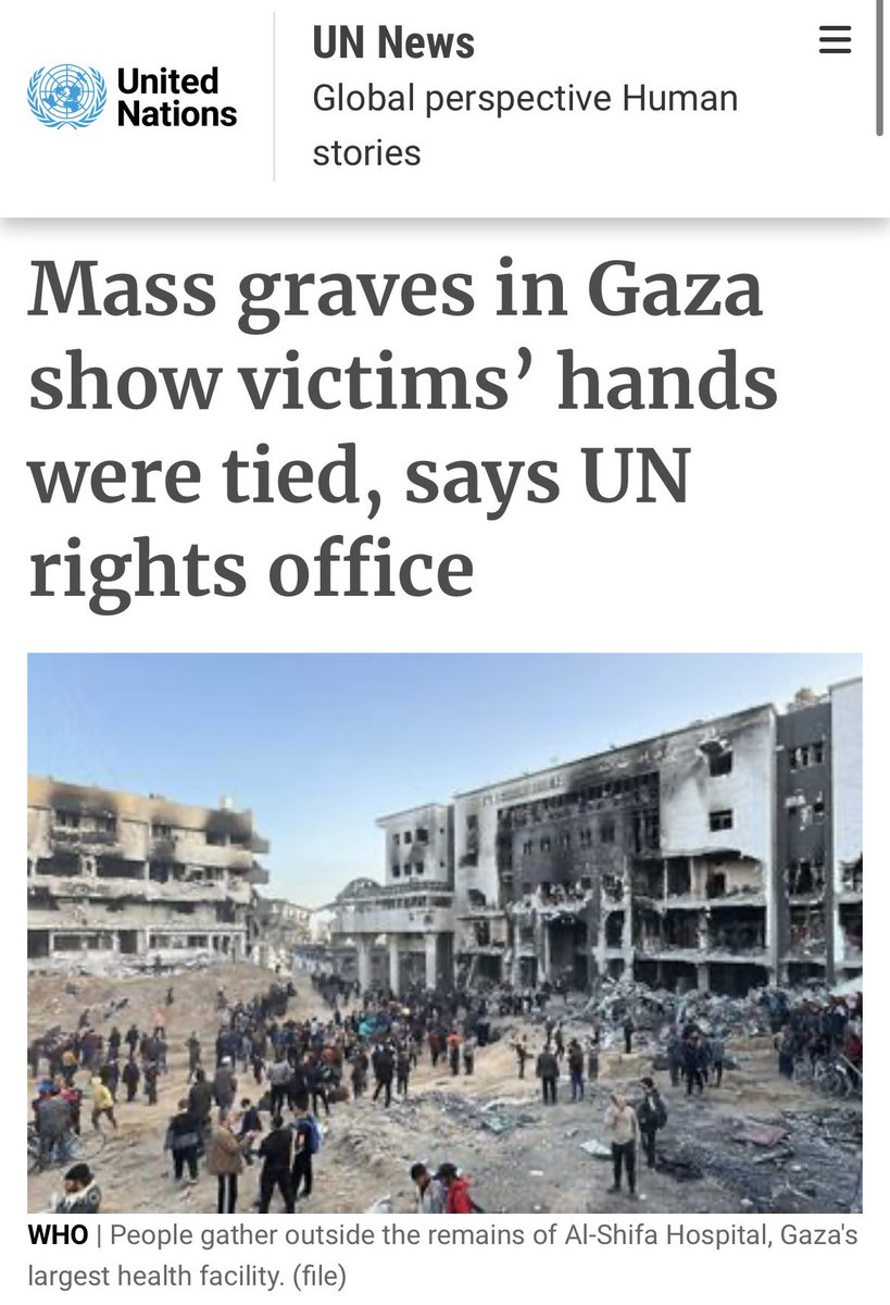 For decades our governments have given Israel absolute impunity - this is the result: “Among the deceased were allegedly older people, women and wounded, while others were found tied with their hands tied and stripped of their clothes” - UN rights office news.un.org/en/story/2024/…