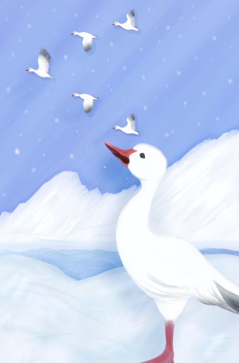 I now finally have the honour of sharing the piece I did for the <a href="/PolarLightsZine/">Polar Lights</a> !!
I drew snow geese for this!!
Check out the zine here: polarlightszine.itch.io/polar-lights-2
All proceeds benefit the Antarctic and Southern Ocean Coalition!!!!