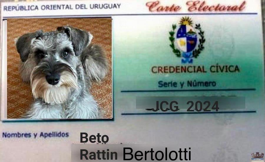 Hola humanos. Ya saqué mi credencial 😜😜