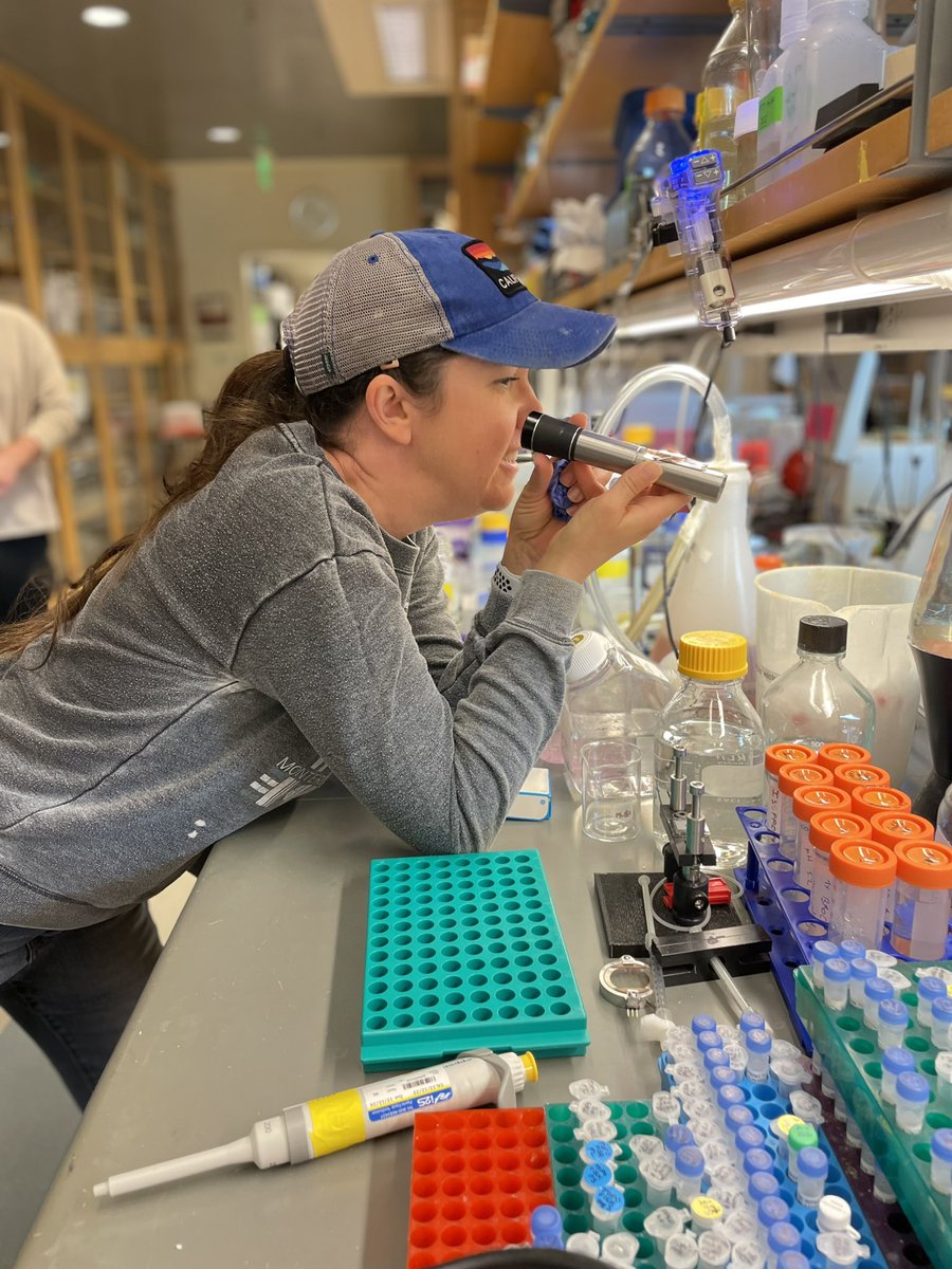 The Real Mullins Lab tweet media