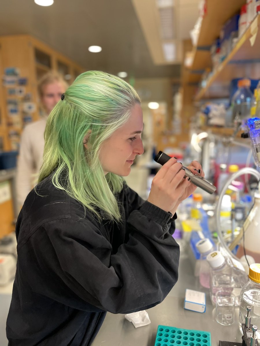 The Real Mullins Lab tweet media