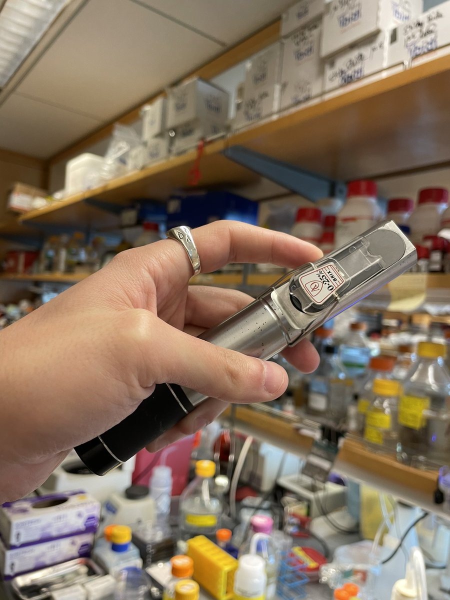 The Real Mullins Lab tweet media