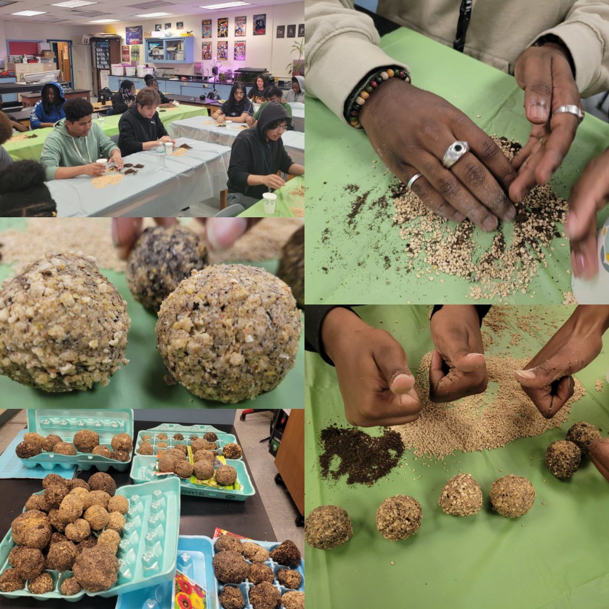 Environmental Clubx SGA collaboration Earth Day Project! Students created Seed bombs. These seed bombs were made with seed soil mix, cat litter, water and various types of seeds. We intend on launching these guys in various gardens on campus to increase biodiversity!