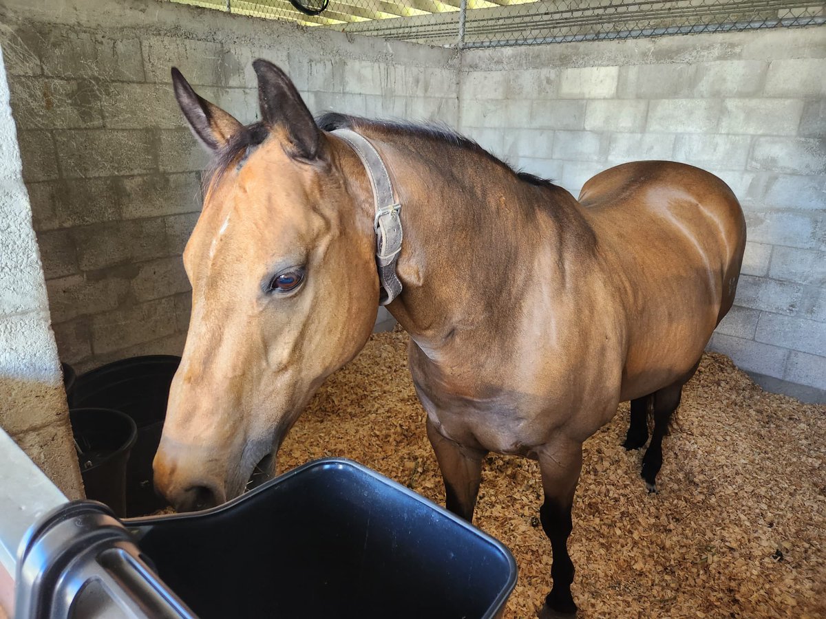 OH HAYYY! Jack turns 2️⃣1️⃣ today 🎉 Join us in wishing him a HAPPY BIRTHDAY 🐴