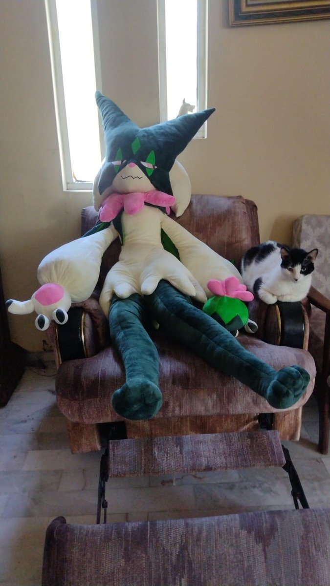 ZacianSwords's tweet photo. Looks like somebody is in love. 
Every like is a chance for toasty to date meowscarada. 
#Meowscarada #meowth #pokemon https://t.co/PNmbzOwTEp