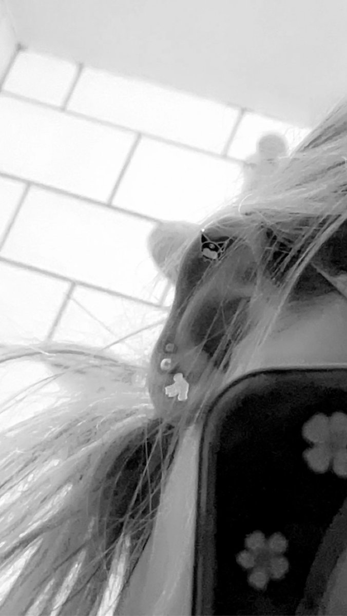 onlyashleyx's tweet photo. Not new to the nsfw community but am wanting to get back into it ˗ˋˏ ♡ ˎˊ˗ 

Just a normal horny bisexual girl wanting to meet new people and support others out there ・❥・

Interact with this post if that’s something you would also want .•*•.•*•. https://t.co/UpYz1Gtojs