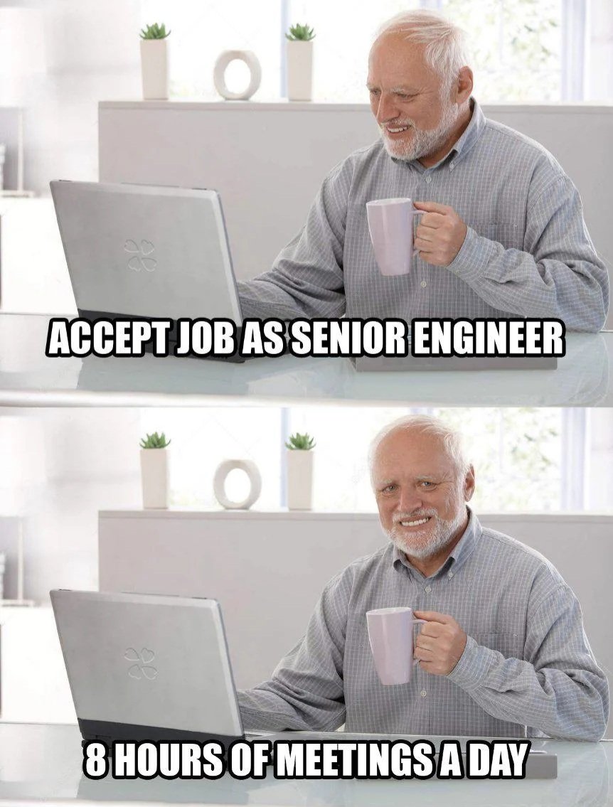 ProgrammersMeme's tweet image. The meetings are definitely important