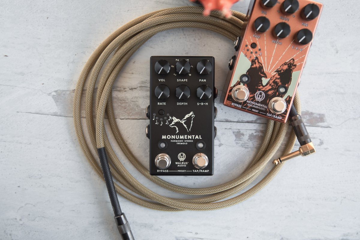 Explore all the new features of the Walrus Audio Monumental Harmonic Stereo Tremolo Pedal! 🎶 #WalrusAudio #TremoloPedal Check It Out Here 🔻 bit.ly/3xGZvnZ