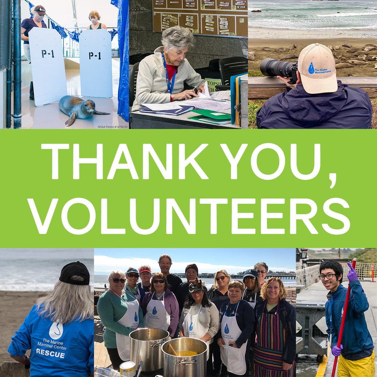 Happy #VolunteerAppreciationWeek! 🙌🎉 Our incredible volunteers are crucial to our work advancing global ocean health and the true heart and soul of our organization 💙 We cannot thank them enough, but we hope you'll help us try and show some appreciation in the replies!
