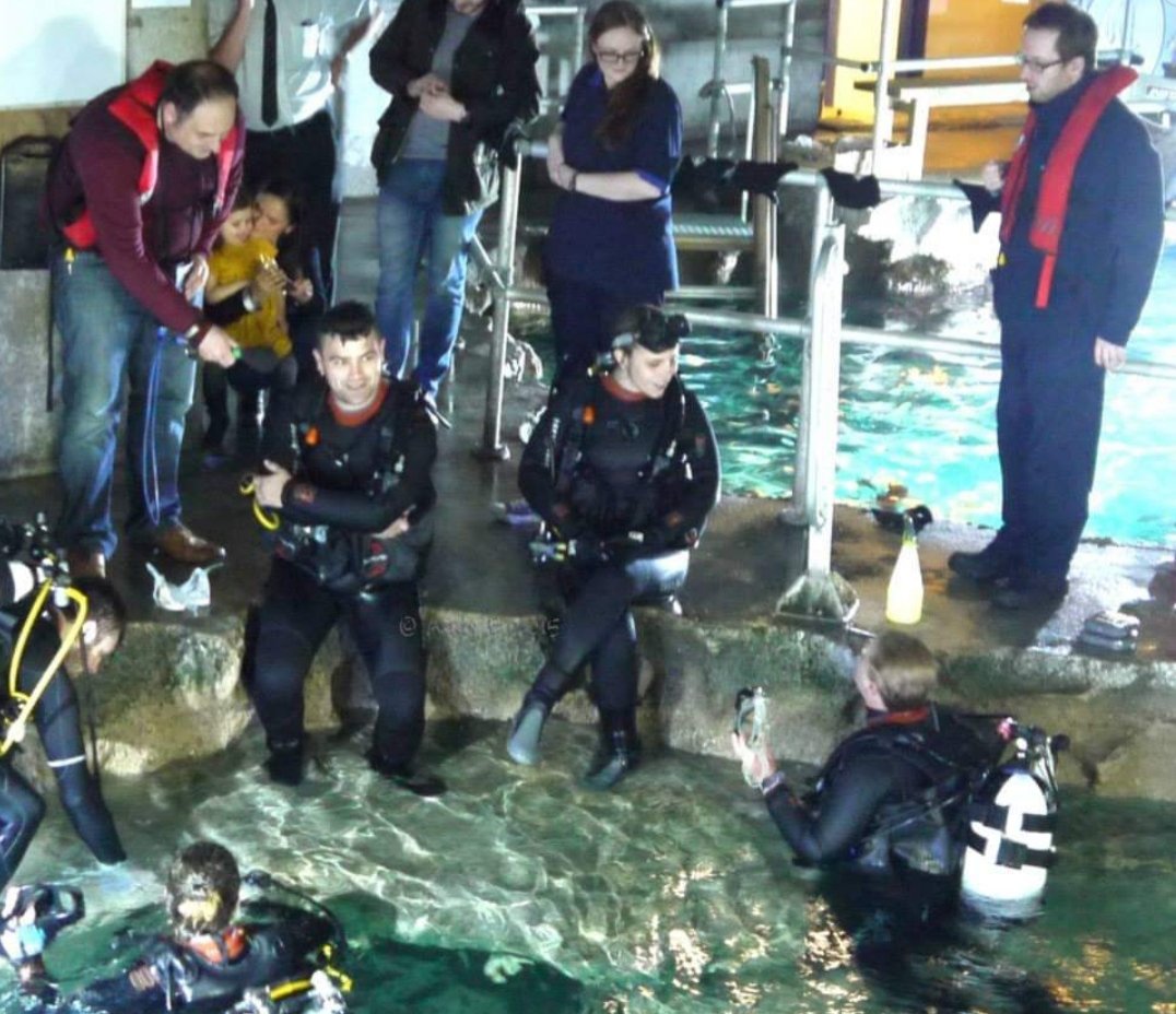 Andy Bolton Productions tweet media