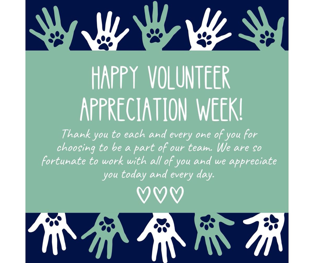 lucymackenziehs's tweet photo. Thank you to all our AMAZING volunteers! We appreciate you this week &amp; every single day. You work alongside us, provide comfort and care to the animals we serve and we’re so honored that you’re part of the Lucy Mackenzie family! 
#volunteerappreciationweek #shelterlove #gratitude https://t.co/uttDxIvFaS