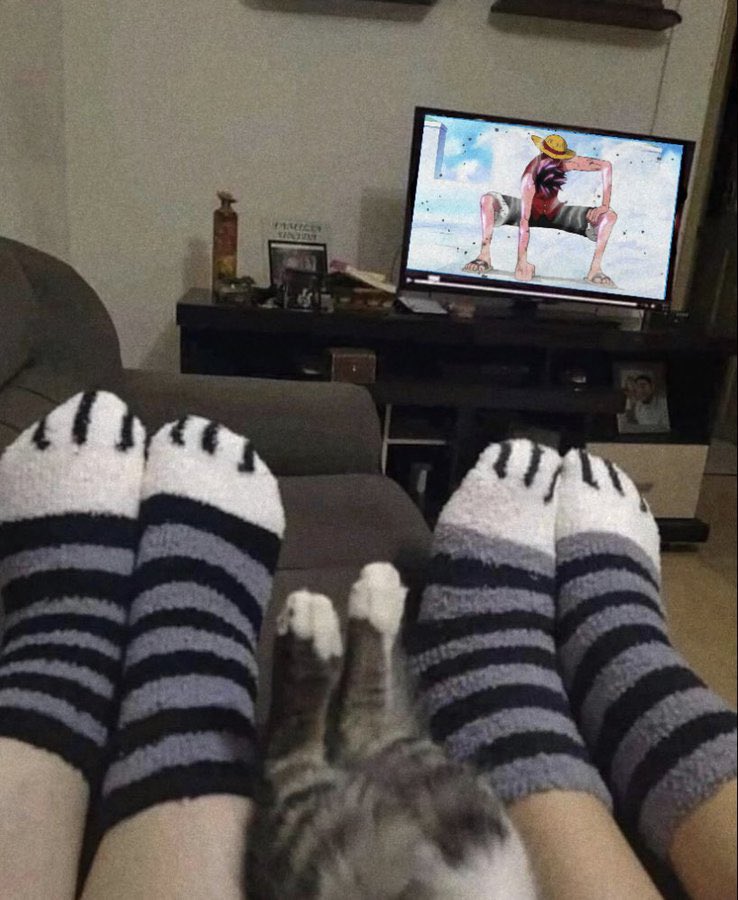 One Piece tweet media