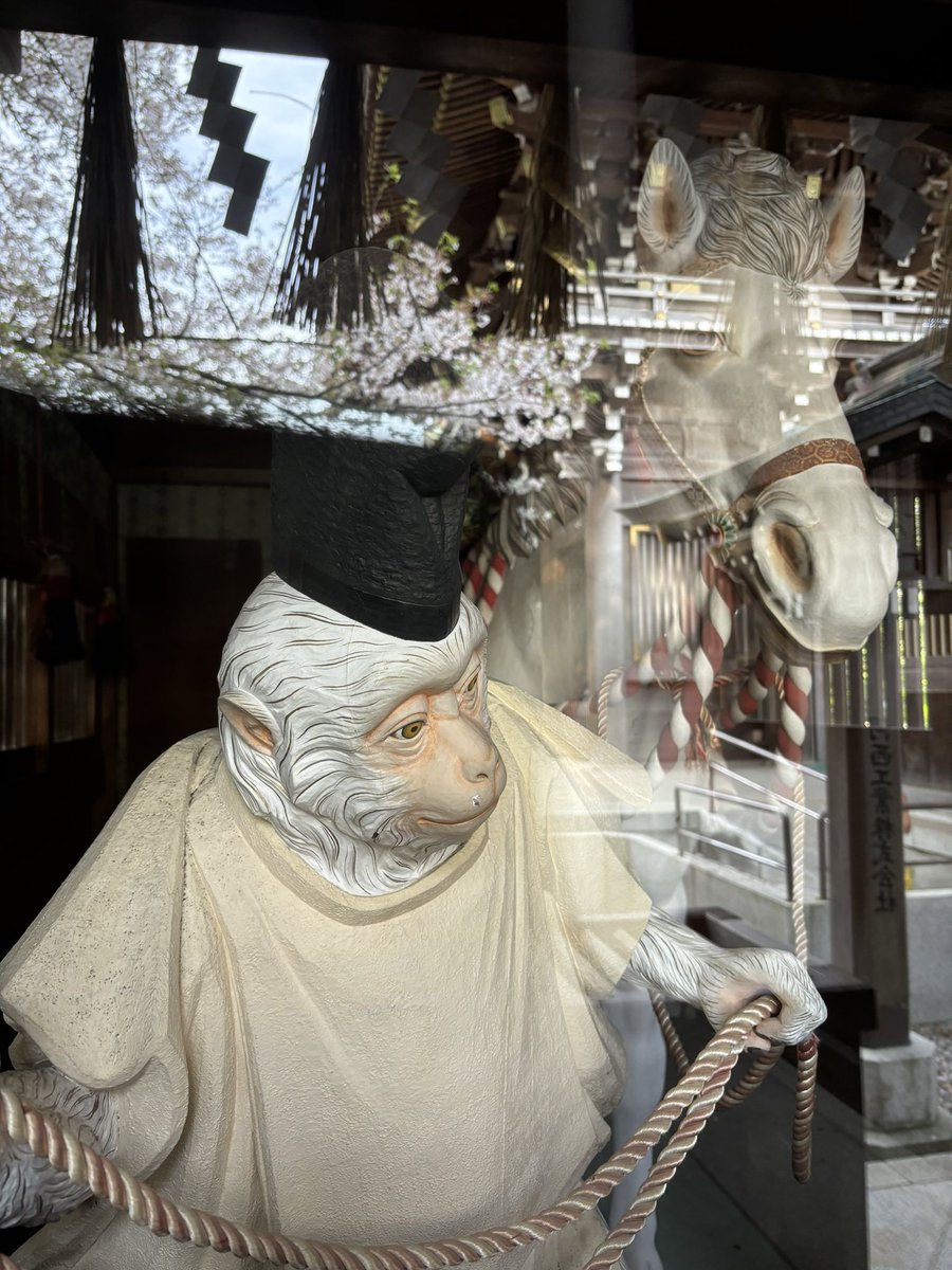 #寒川神社

寒川神社には何度も行ってますが、こちらの神馬さんに初めて気がつきました
しかも真っ白なお猿さんが神馬さんをつれているんですね

どなたかに見られているなぁ〜と思ったらこちらのお猿さん🐒
一瞬生きているのかとほんとうにびっくりしました🫢