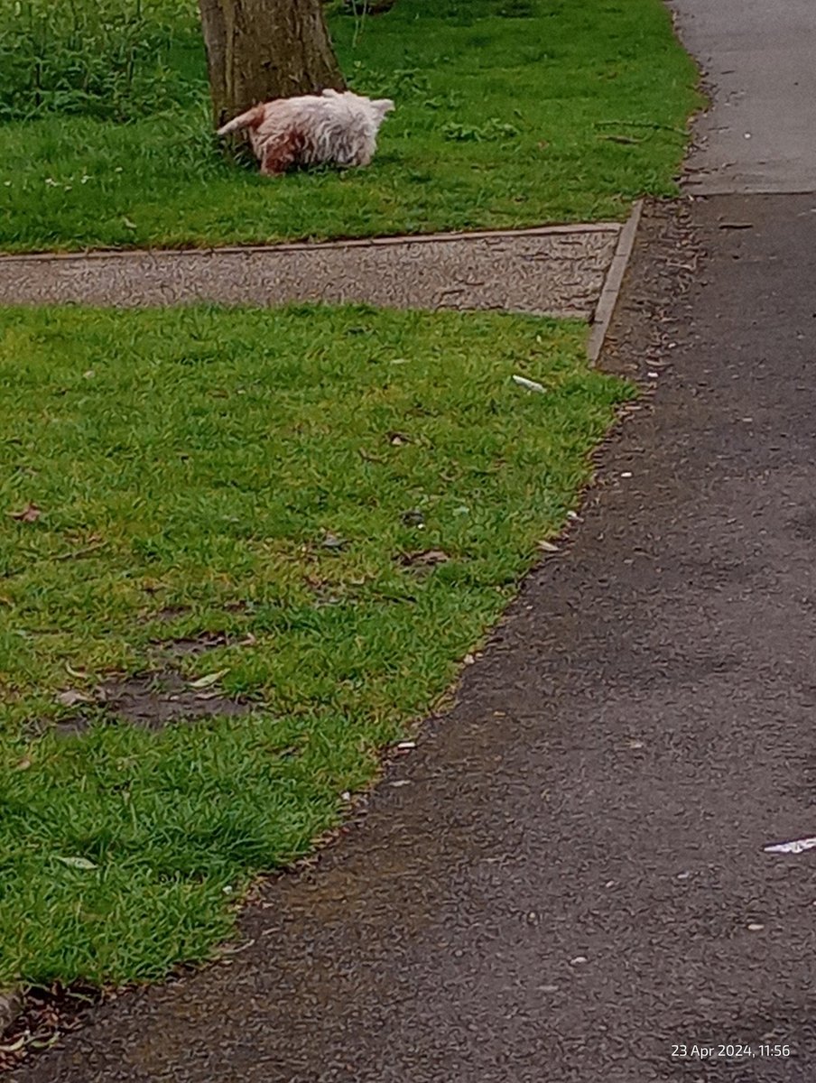 Victoria Park in the rain. Taken yesterday