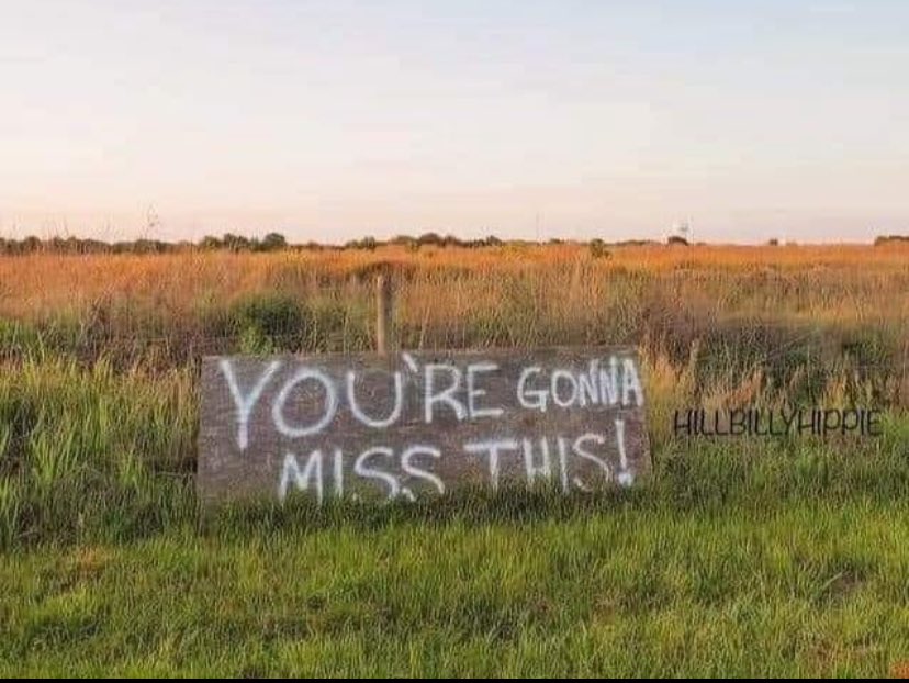 Coming to a Farmers Field Near You. Here comes the 300 house subdivision,strip mall, storage units, car wash, McDonald's and Starbucks. My country town has surrendered to urban greed. Sad😟
#ohio #urbanjungle #farmland #countrylife #LandForSale #urbangrowth #farmlife #countryside