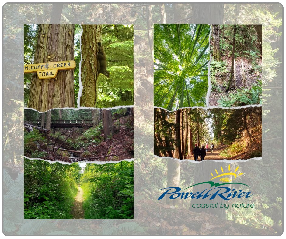 🌎 This Earth Week, 🚶‍♀️🚶take a walk on some or all of our 80 km of urban trails? 🌲There's Millennium Park Trails, Penticton Trails, Willingdon Beach Trail, the Old Golf Course lands, the Seawalk, & the spectacular Sunshine Coast Trail. 📢 Stay tuned! A new trail opening soon!