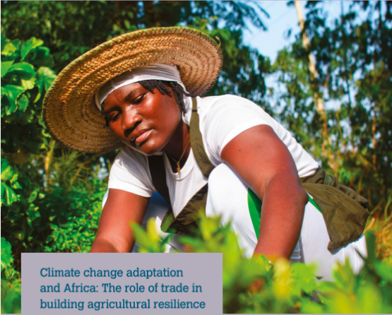 What role does trade play in building agriculture resilience in Africa? Learn more in the publication by the World Trade Organization: bit.ly/wtoagriculture #investment #InvestAfrica #africa #diaspora #agriculture