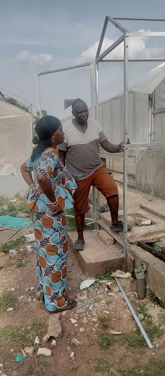 Thanks to <a href="/PROSSIVA_CGIAR/">PROSSIVA</a> project for this new hydroponic screen house.

NACGRAB as a partner in Yam Component is to conduct experiments to optimize technological production pathways+innovations for yam breeder seeds using conventional tissue culture facility &amp; Hydroponic System.