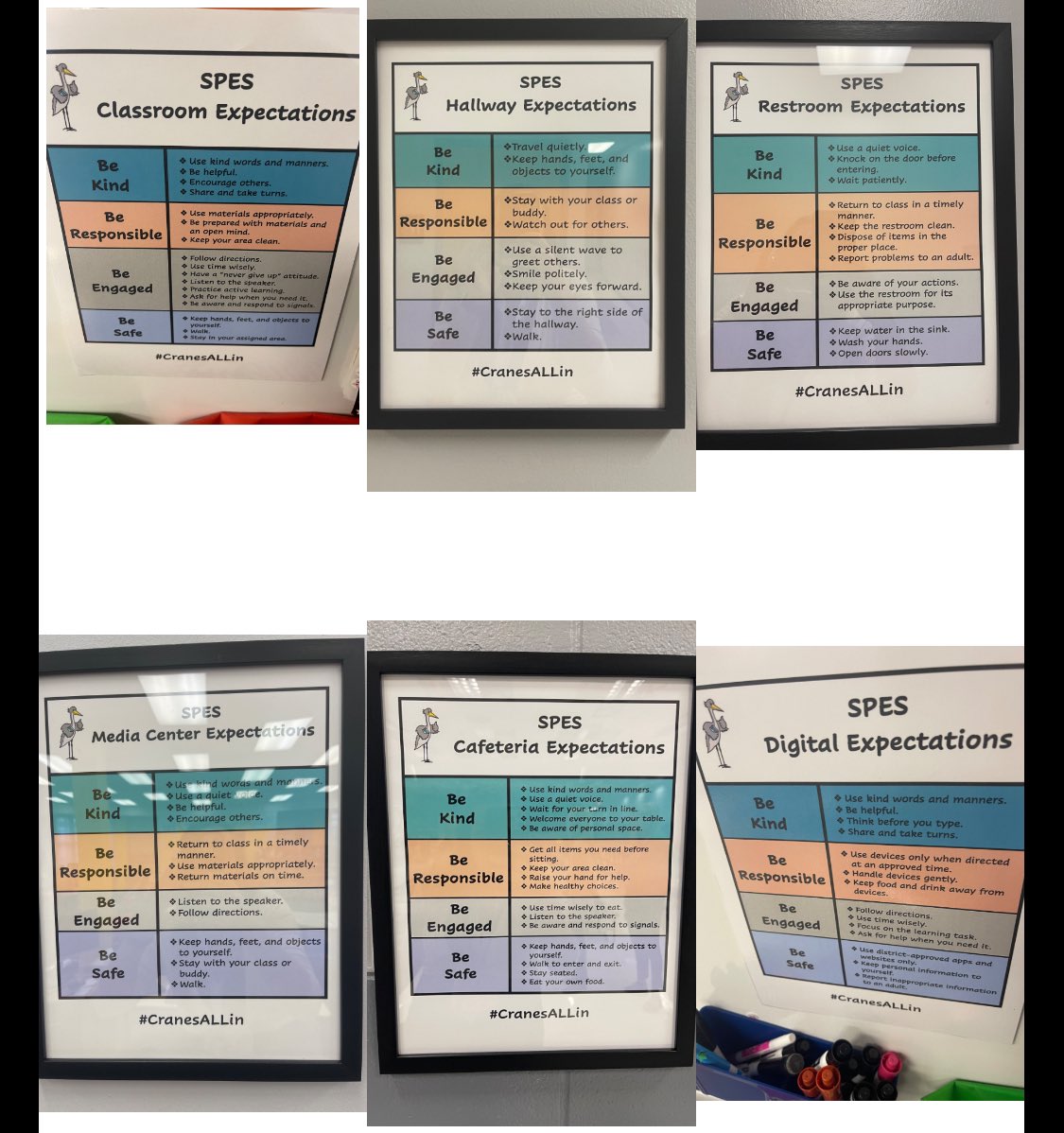 The PBIS team <a href="/SPES_Cranes/">Sand Pine Elementary</a> analyzes data to plan for expectation lessons, practice, and celebrations