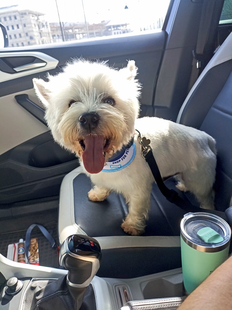 Luis®Φ tweet media