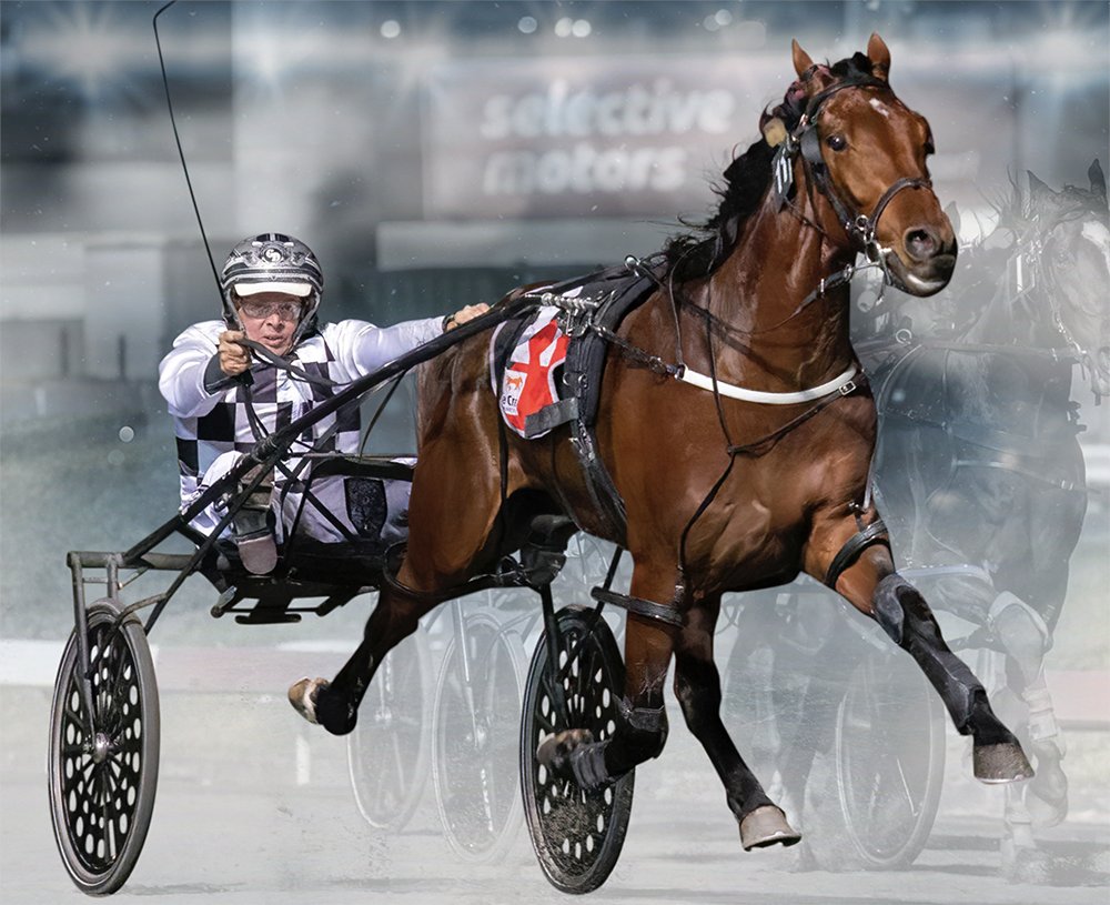 Lettucereason took out the Winona Award for Australia’s 2023 Broodmare of the Year. Being the dam of Leap To Fame & Swayzee. Just Believe’s dam, Heavens Above won the Maori Miss Award for the Trotting Broodmare of the Year.