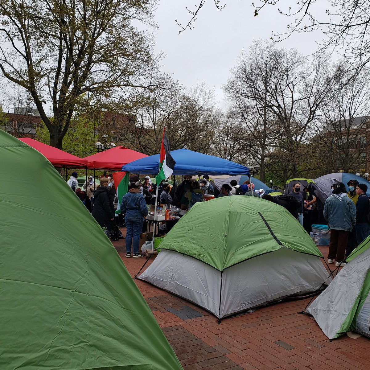 I just got back from the University of Michigan #SolidarityEncampment