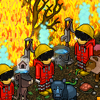 habbo_camera's tweet photo. Capturado por: DJKurtCobainli https://t.co/xjOJUxa14j
