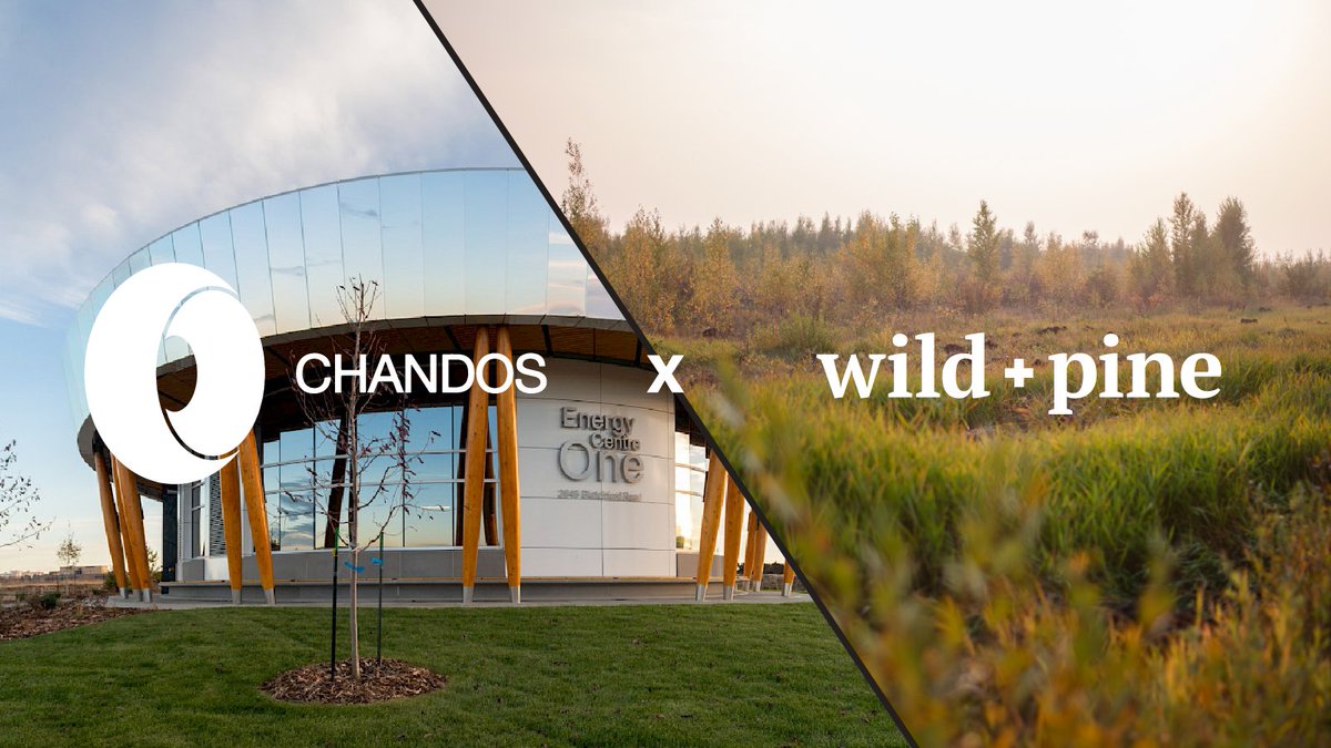 Our partnership with @ChandosLTD is proof that amazing things can happen when two #Alberta born companies come together, & we’re grateful for their ongoing support. Click for more on Chandos’ impact through our #StoneWoods and #ForestB projects here: wildandpine.ca/projects/