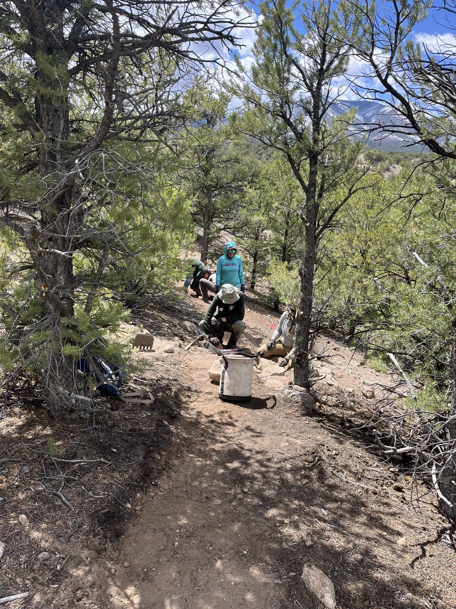 EcoRangers training and building new trail with Cat Gruener and Salida Mountain Trails. We are connecting Dead Bird and Race Track trails. #AmeriCorpsWorks #NationalServiceWorks #ServeNM