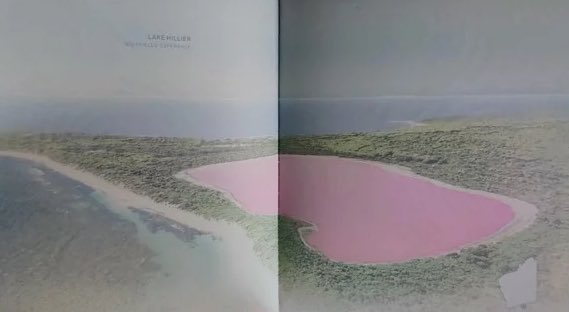 Absolutely chuffed to see halophilic #archaea at Lake Hillier in WA STARRING ⭐️ within the pages of the new Australian passport! ***picture is not my actual passport, for obvious reasons!