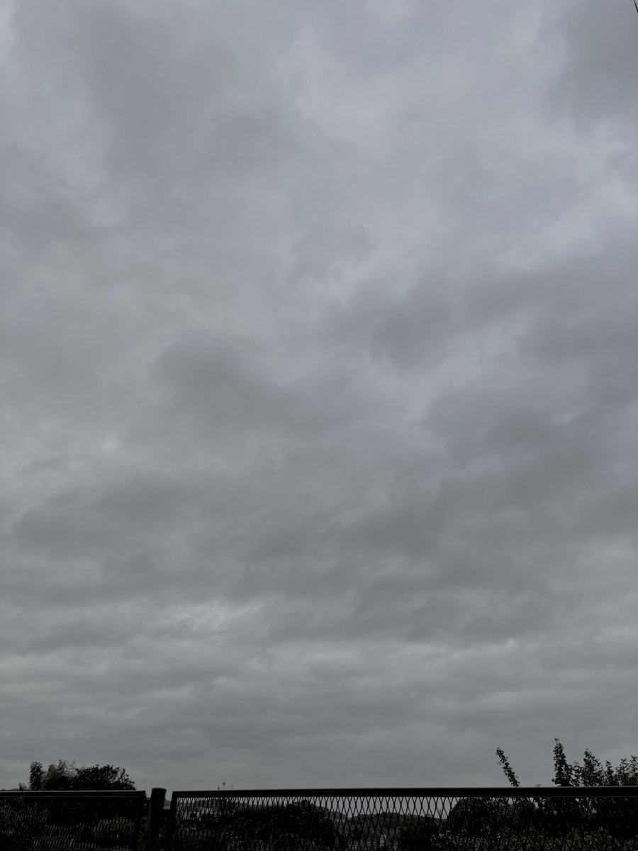 tamaido's tweet photo. 今朝は雨。お昼にはやむかな。 https://t.co/RnpFhfn9tg