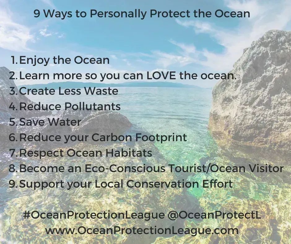 9 ways to protect the ocean

#OceanProtectionLeague #SaveTheOcean #ocean #beach #nature #sea #travel #love #sky #water #climatechange #Sustainable #climatecrisis #Recycle4Nature #recycling #ClimateAction #environment 

buff.ly/4abdSz8
