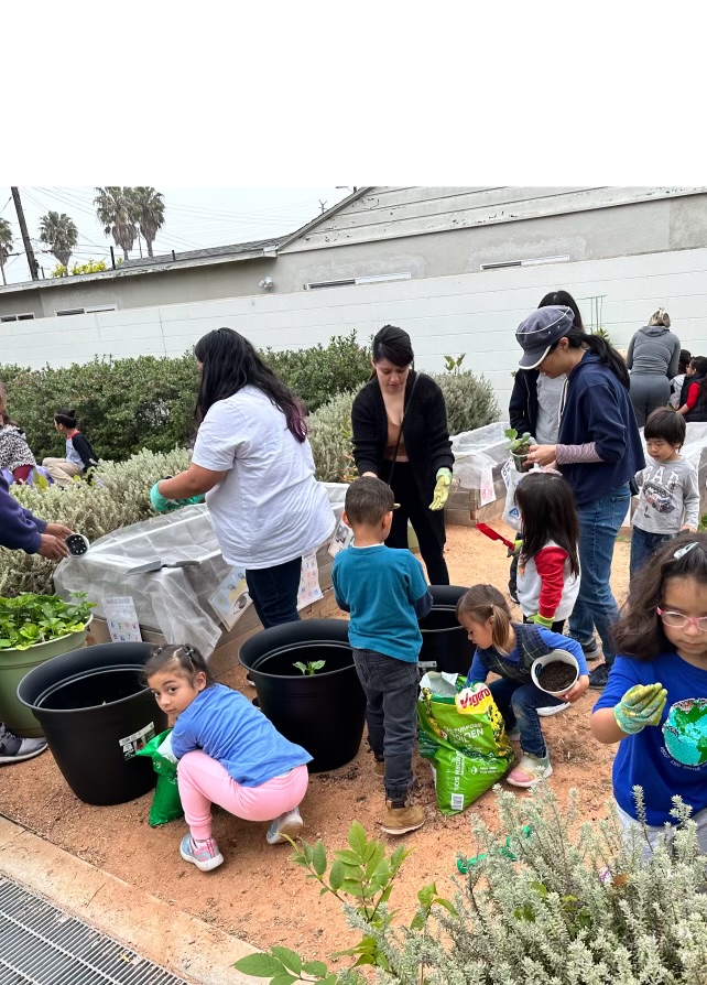 Earth Day at Marina EEC was a success!
Parents planted in the garden, read books about Earth to our students and cleaned the campus. Special appearances by the Earth, the Sun and the Protector of Earth! Join us next year for our annual Earth day celebration.