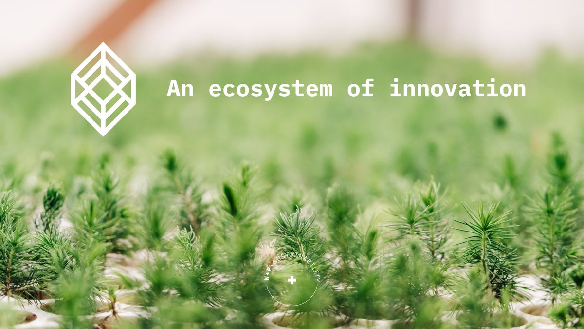 wildandpineab's tweet photo. Our BioPrism Advanced Greenhouse, the first commercial production of tree seedlings in an artificial vertical greenhouse in Canada, is proof of our commitment to lead with #innovation and challenge the status quo. More about the future of reforestation: https://t.co/lIx0OpY7kf https://t.co/cppIdoyHpv