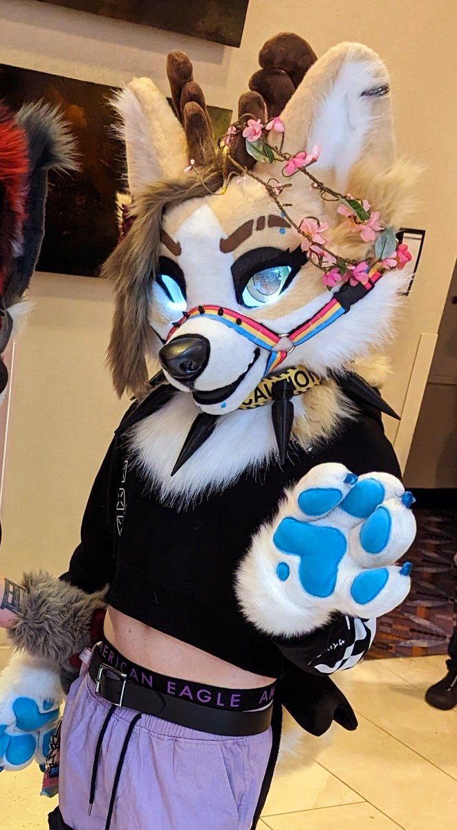 DeerskyMonty's tweet photo. Fursuit + what I drive https://t.co/MYlaFKGOVA