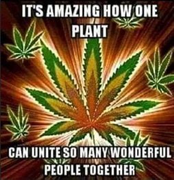 WHERE'S EVERYONE AT 👁🌿👁#weedsmokers 
#mentalhealthmatters #cannabiscommunity #Mmemberville #stonerchick