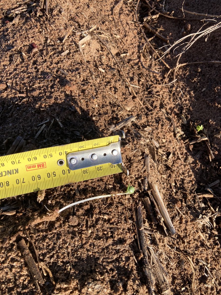 gene fuller tweet media