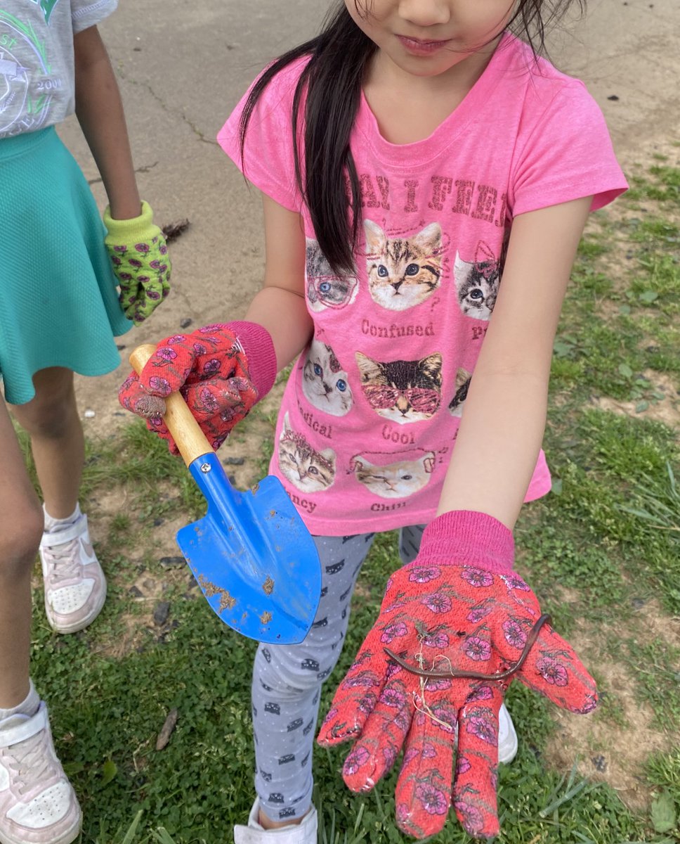 The unofficial “2nd Grade Garden Club” has been having lots of fun at recess tending to garden beds…and finding a few critters along the way!🪴🤣 @RockfieldE