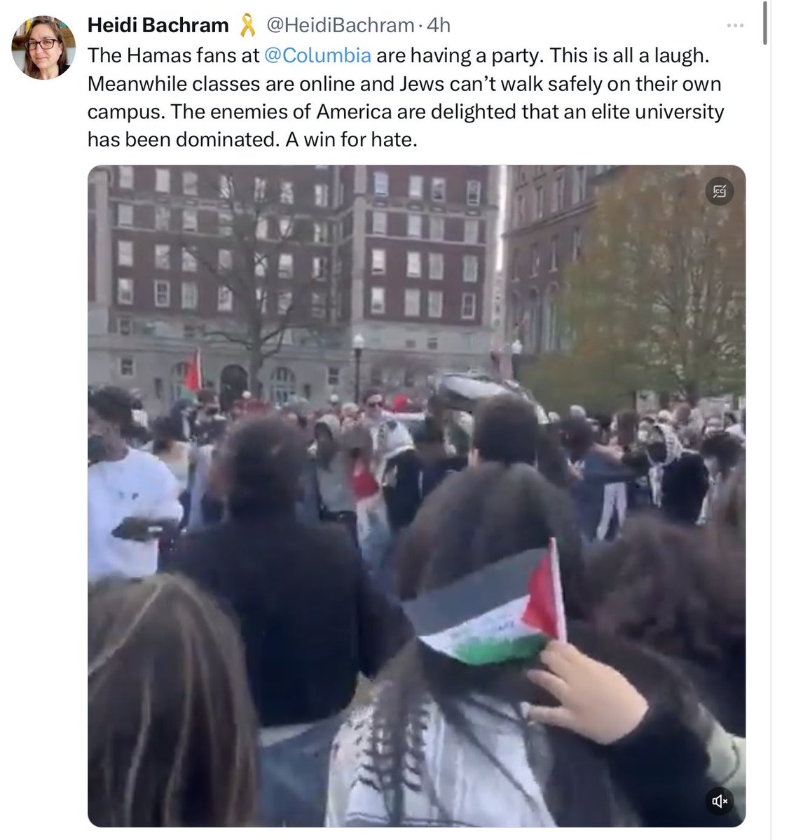 ‘Heidi’ seems to be in a parallel universe, where there is no footage of a young woman with ‘#Jew’ written on the front of her shirt, ‘#Israel’ and a #StarOfDavid on the back, shouting “I am not afraid” and being completely ignored.

Not “Enemies of #America” but #US #students.