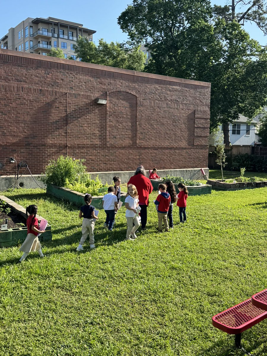 Today students had to “escape” the garden during an escape room about the sedimentary rock process/fossil fuel formation. Pre-K even popped by on a nature walk recording their observations! #STAARreview
