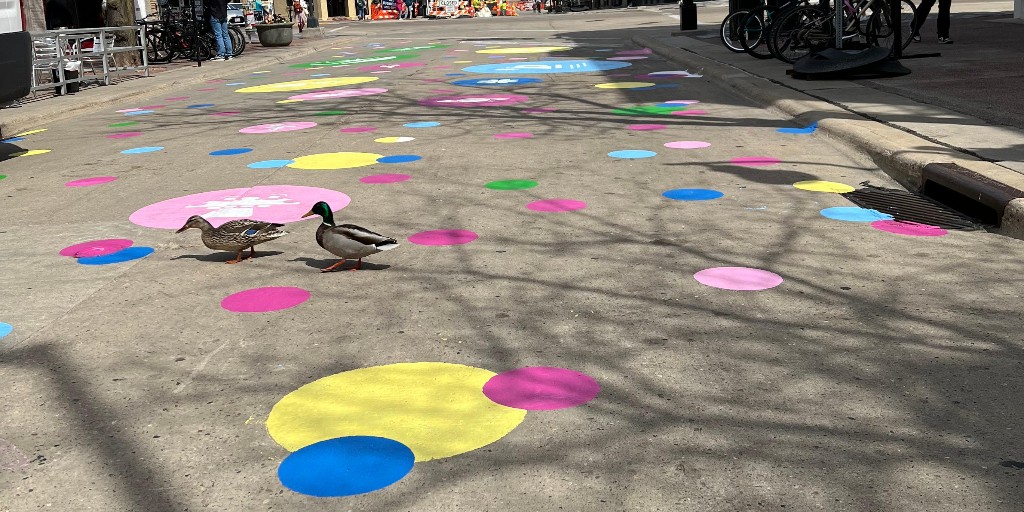 Even the ducks are admiring the new artwork on State Street!