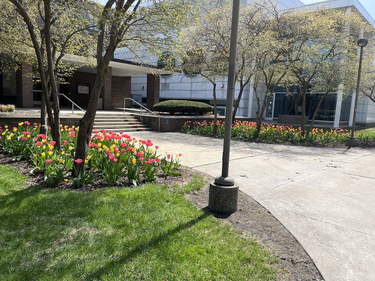 rkpineau's tweet photo. @SteffiHartwell @waynestate https://t.co/kh0IWEy0A4