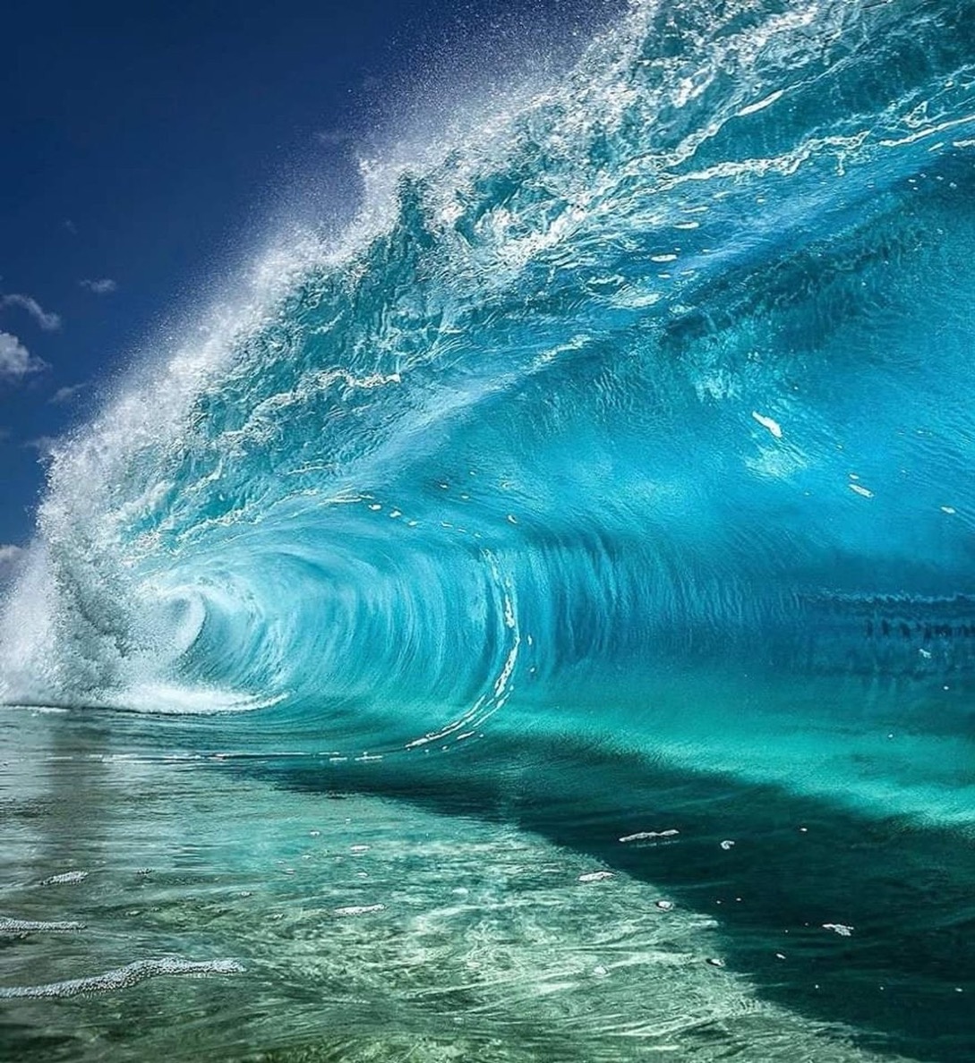 @BigBlueWaveUSA #BlueTsunami2024
