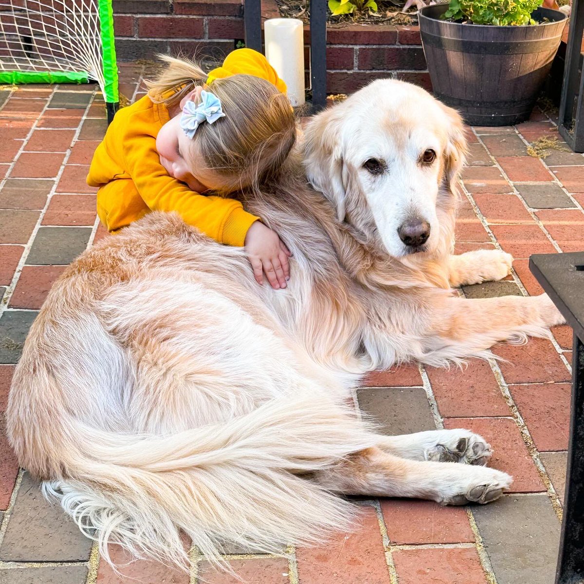 Your #dailywally gets cuddles