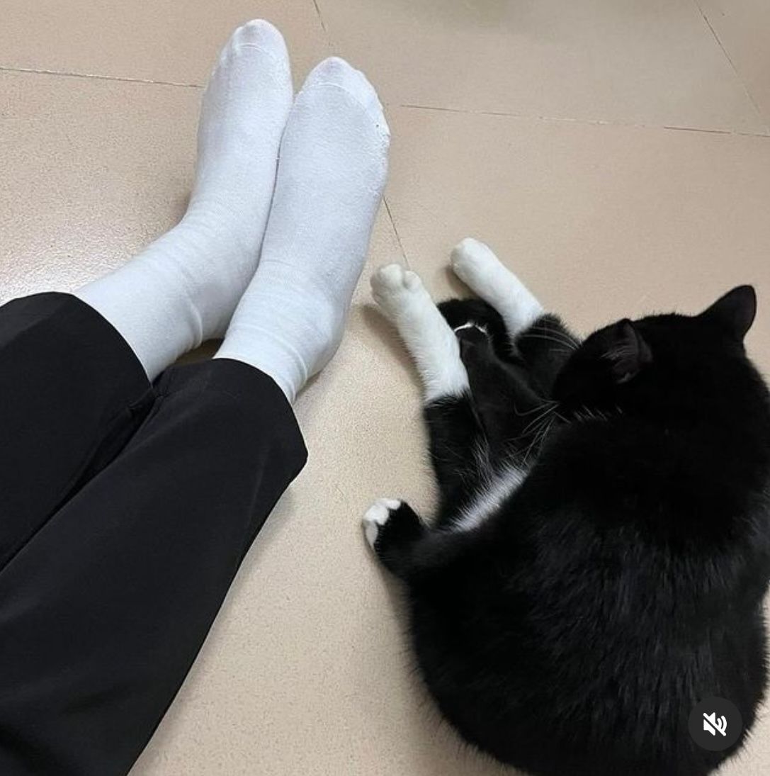 PowerfulAuraX's tweet photo. Matching shocks 🤗 https://t.co/2rdLq1fT1w