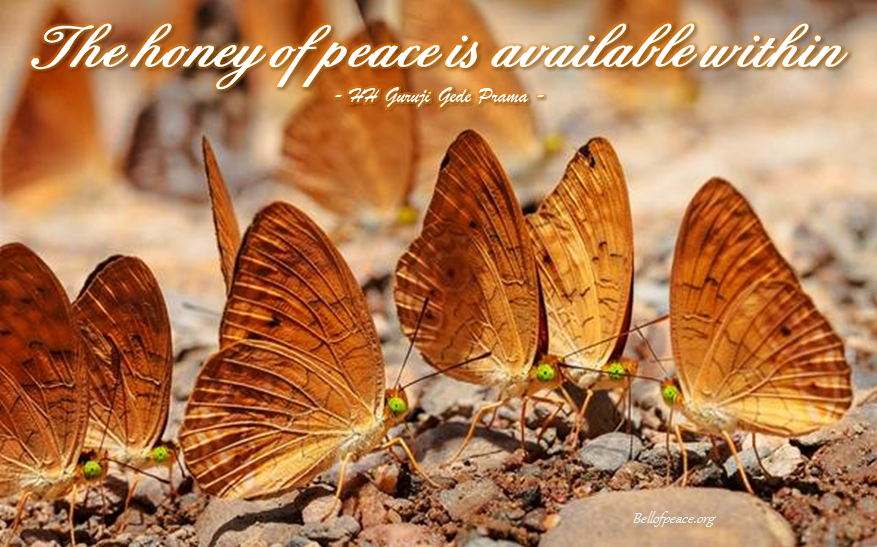 The honey of peace... #bali #love #peace #meditation bellofpeace.org Photo courtesy: Pinterest